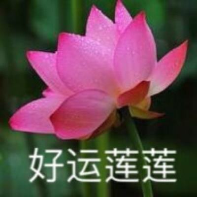 习近平出席上海合作组织成员国元首理事会...